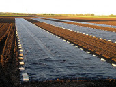 Агротекстиль Agrojutex 100г/м2 - 5.25x100м Агротекстиль Agrojutex 100г/м2 - 5.25x100м