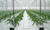 Агротекстиль Agrojutex белый 130г/м2 - 3.30x100м Агротекстиль Agrojutex белый 130г/м2 - 3.30x100м